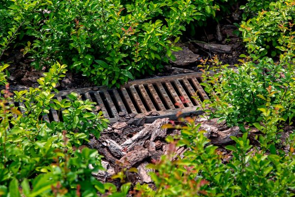 Underground Drainage Service in Lapeer