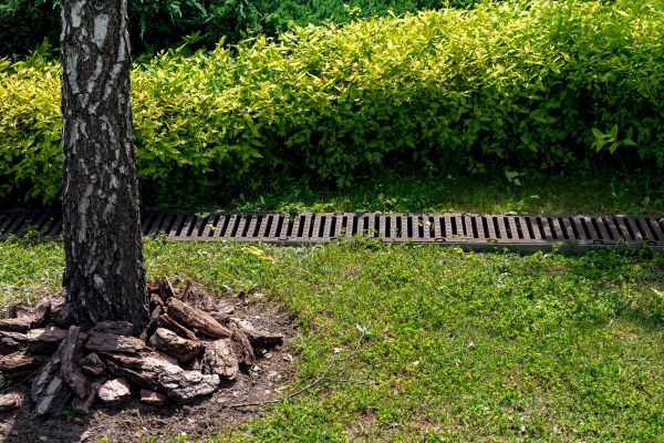 Cost of Yard Water Redirection in Lapeer