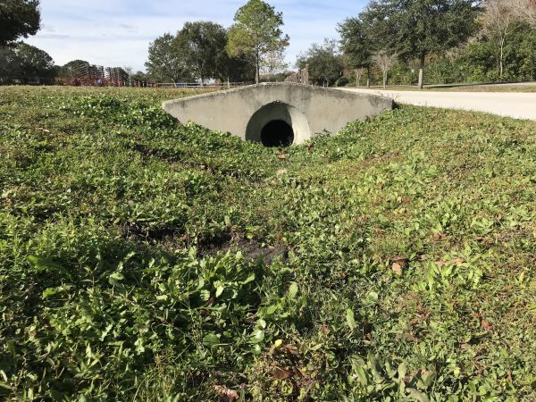 Cost of Swale Drainage Service in Lapeer